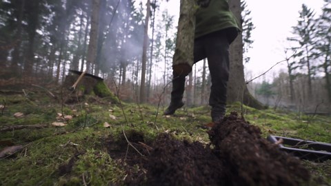 Cooking Tiger Prawns in the Wild | ASMR Outdoor Feast 🦐🔥