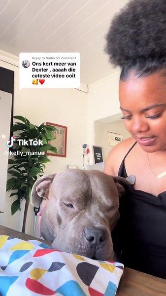 The Drama of Dexter: An American Bully Story
