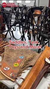 Don't miss the Parker inventory reduction auction featuring tack, saddles, custom toys and more. Located Kearney, NE | Adam Marshall Land & Auction, LLC