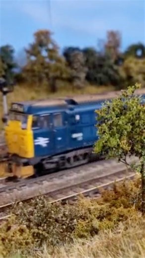 British Railways Accurascale Class 31 Pulls A Train Of Coal Hoppers #modelrailway #oogauge #train