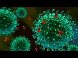 What is the difference between Specific and Nonspecific Immunity