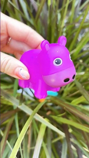 Zoo Animals Play with Toys in the Bush for Funding!