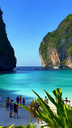 🏝️ Maya Beach – Tropical Paradise in Thailand 🌊✨