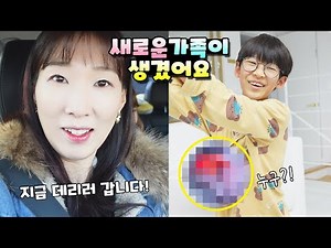 지금 저희는 새가족을 만나러 가고 있습니다! 가족 일상 브이로그 vlogㅣ토깽이네