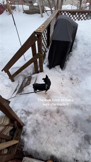 Little coco #coco #loco #cocoloco #cute #fyp