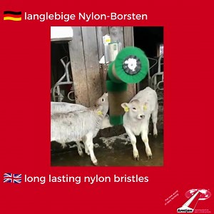 55K views · 906 reactions | Die neue First Class Cow Brush. Besucht uns auf der EuroTier vom 15. - 18.11.2022 in Hannover, Halle 12 Stand A19 The new First Class Cow Brush. Visit us at EuroTier from 15 - 18.11.2022 in Hannover, Hall 12 Stand A19 | Arntjen Group | Facebook