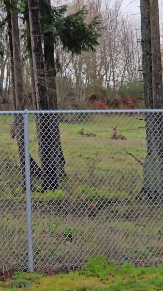 Corey Reams (@coreyreams)’s videos with original sound - Corey Reams