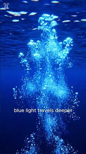 Why Is the Ocean Blue If Water Is Clear? 🌊