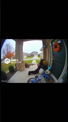 Panda explodes after crashing into house😮