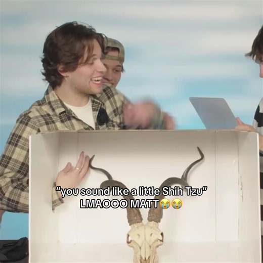 Hilarious Moments from the Sturniolo Triplets