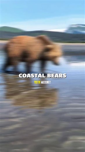 Is This the Deadliest Bear on Earth? | Pauline Mccord | Facebook