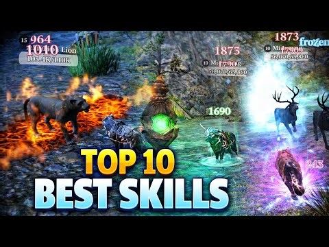 TOP 10 BEST Skills in The Wolf 🔥
