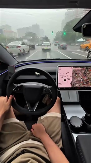 这时想到离目的地还很远就很欣慰#焕新版model3 #雨天出行 #第一视角