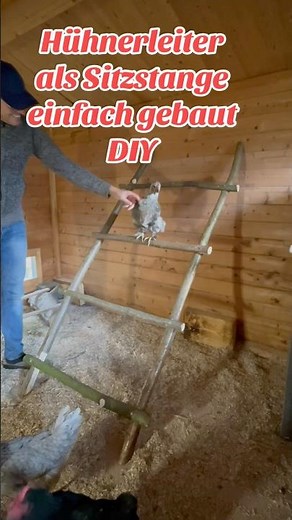 Build your own chicken ladder perch! DIY #chickenkeeping #crafts #diy #chickenlove