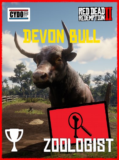 Find the Devon Bull in RDR2 | Location Guide