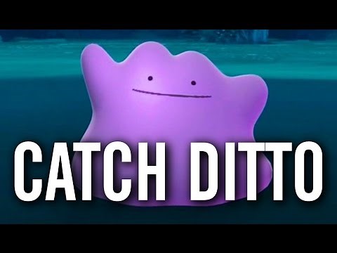 Pokémon GO - How to Catch Ditto