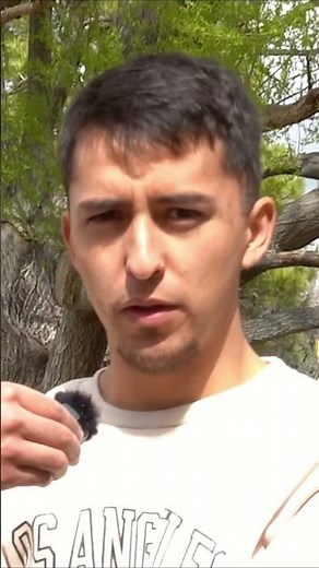 II Discover the Best Food in Albuquerque Locals Reveal Their Top Restaurant Picks #LocalFavoritesABQ