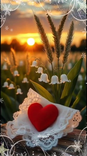 #добрыйвечер #новинки #свежие