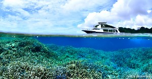 DIVING in OKINAWA | Marine Diving web