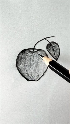Easy draw realistic Apple by sketch #reelsviralシ #artist #artgallery #drawing | Umme Neaha