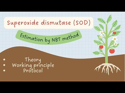 In vitro Superoxide Dismutase determination in plants by Nitro blue tetrazolium (NBT) method