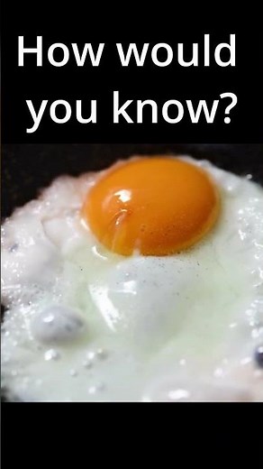 Are Fertilized Eggs REALLY Safe to Eat