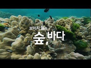 보이지 않는 숲, 바다 _ 위기의 해양 생태계