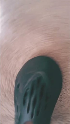 #shoes you like my alien shoes