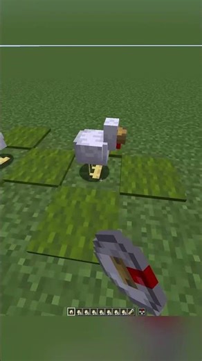 Spawning a Chicken for EVERY Subscriber [DAY 4]