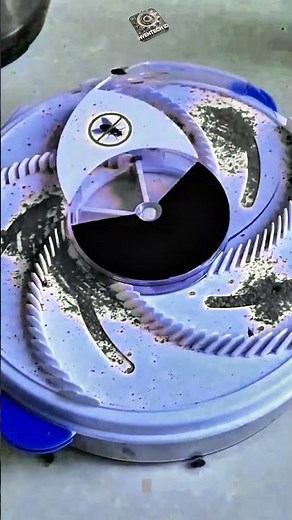 Innovation Electric Pest Trap Machine : Smart Automatic Insect Capture