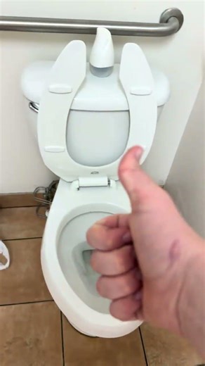 (Toilets of Georgia’s footage) Briggs Altima toilet