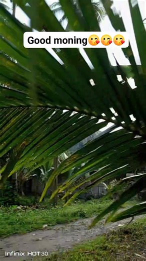 Good morning🥰 #morningvibes #bukidlife #lovelymorning | Daitol Sundungan Febe Marie