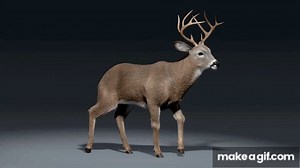 deer walk cycle animation on Make a GIF