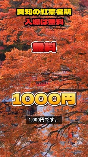 【愛知】香嵐渓のもみじ3000本は無料