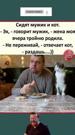 #смех #memes #прикол #юмор #haha #мем #мемас