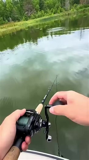 Big Musky on the Figure 8! #piscifun #musky | Glenn Baxter