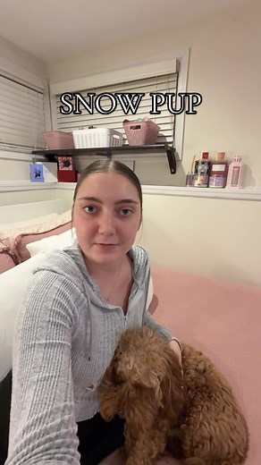 Winter Snow Fun with Adorable Cavapoo Puppies