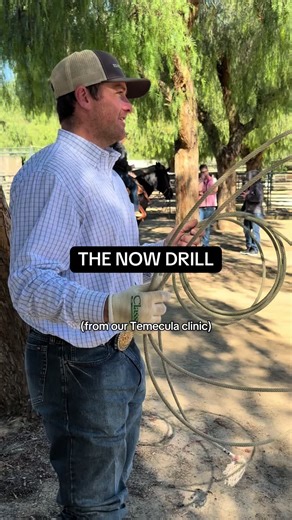 Team Roping Instruction and Tips for Equestrians