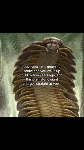 Arthropleura was a giant, extinct millipede-like creature that lived 300 million years ago. Reaching lengths of up to 3 meters, it was one of the largest land arthropods ever. It moved through dense ancient forests and likely fed on plants. Despite its terrifying appearance, it was not a predator, but its size protected it from enemies. #oldearth #extinctanimals #arthropleura