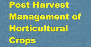 Post Harvest Management of Horticultural Crops ICAR E course Free PDF Book Download e krishi shiksha