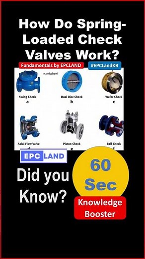 How Do Spring-Loaded Check Valves Work?