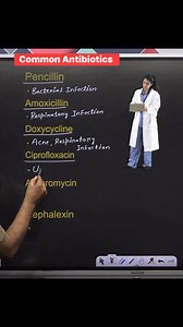 8.6M views · 62K reactions |  Common Antibiotics ‍⚕️ !! #facts #commonantibiotics #sciencefacts #biology #knowledge #education #study #exams #NEET #upsc #quiz #KnowledgeIsPower #gkquestions #facebookreelsviral #fbreelsvideo #facebookreelsvideo #fbreelsviral #facebookreels #reelsviral #reelsfb | Krishna Thakur | Facebook