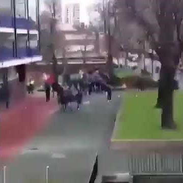 Millwall / Everton Hooligans running riot! FA Cup #FootballFights #Hooligans #Millwall