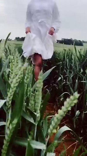 11K views · 213 reactions | Training Video for US Soldiers in Britain WW2 #archive #oldphotos #oldfootage #history #ww2 #educational #1943 | Memorable videos | Facebook