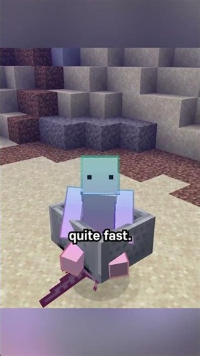 minecart on top of an axolotl