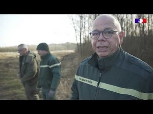 L'ONF prépare la forêt de Ternes face au changement climatique