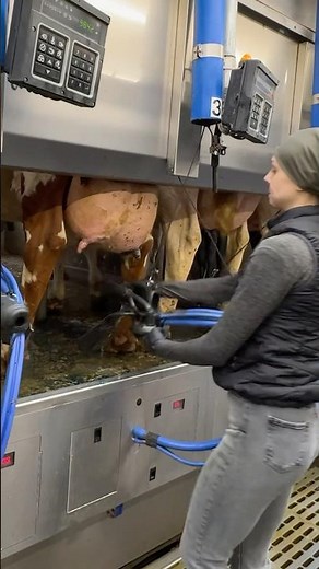 🐄 Farm Girls Life 24/7 ✨