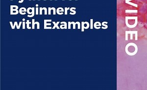 Python for Beginners with Examples