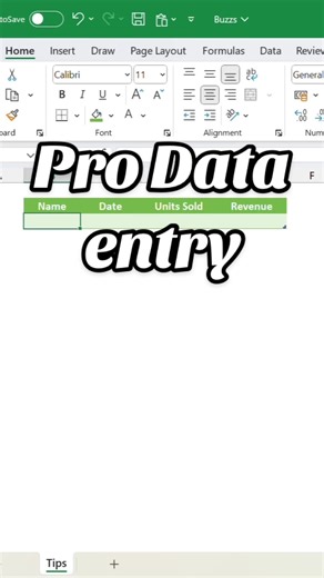 Master Data Entry in Excel for Professionals