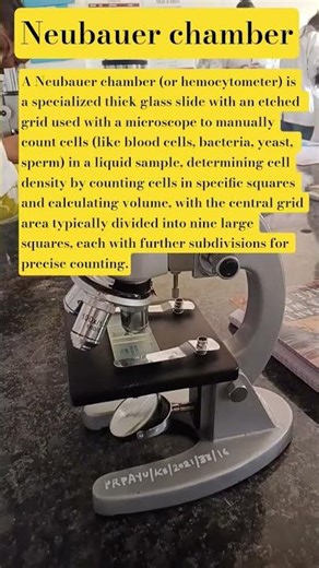 neubauer chamber (or hemocytometer ) #doctor #RBCcount #shorts #practical